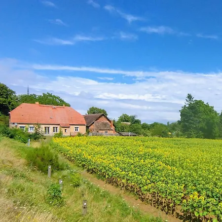 Hufe 9 Gute Stube - Digital Detox Und Entschleunigen Oder Aktiv-urlaub In Der - Bauernhof Charme Trifft Modernes Design Wustrow