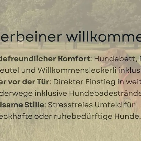 Appartement Hufe 9 Gute Stube - Digital Detox Und Entschleunigen Oder Aktiv-urlaub In Der - Bauernhof Charme Trifft Modernes Design *