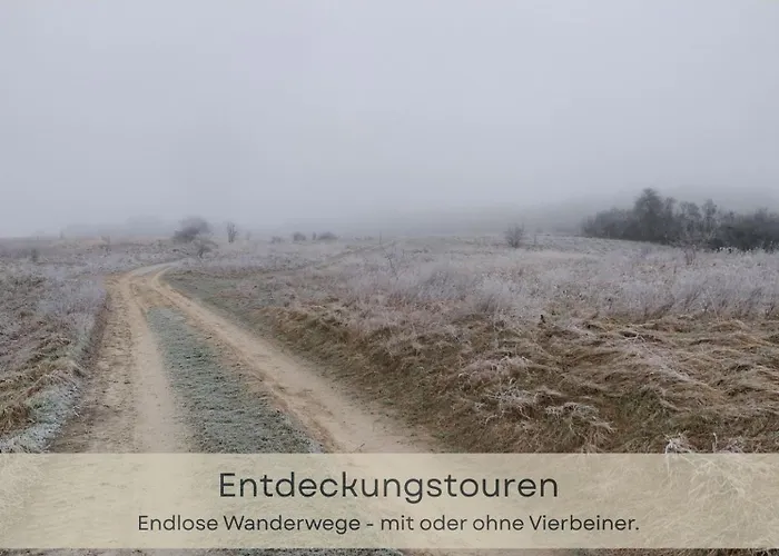 Hufe 9 Gute Stube - Digital Detox Und Entschleunigen Oder Aktiv-urlaub In Der - Bauernhof Charme Trifft Modernes Design アパート Wustrow